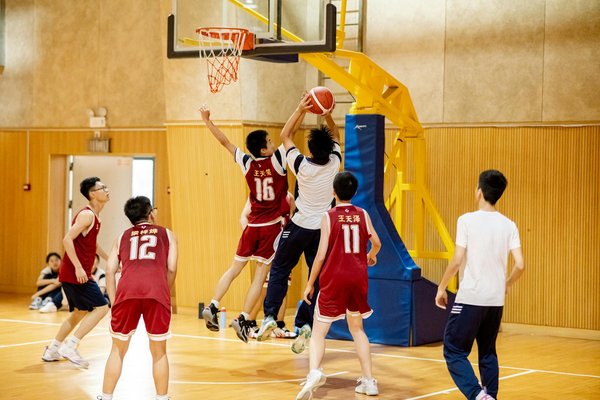 Harnessing Wearable Tech to Tackle Overtraining in Top Athletes: An In-Depth Manual